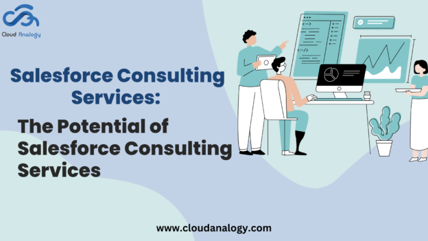 Salesforce Consulting: The Potential of Salesforce Consulting Services
